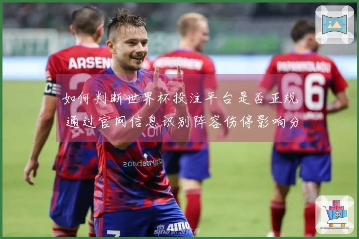 如何判断世界杯投注平台是否正规 通过官网信息识别阵容伤停影响分析