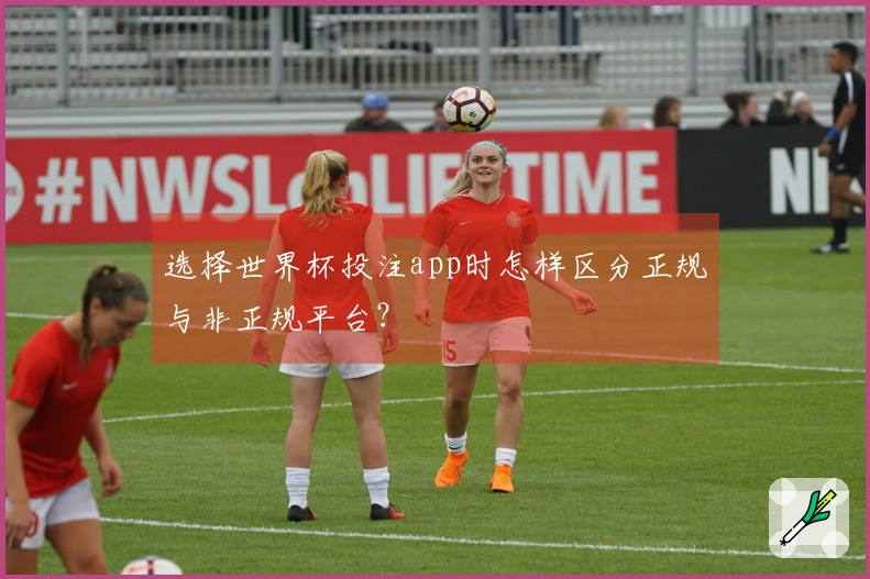 选择世界杯投注app时怎样区分正规与非正规平台？