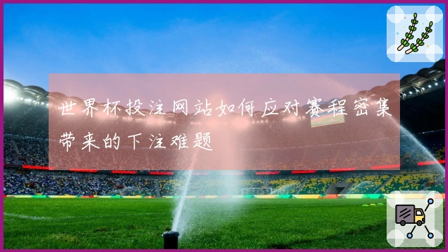 世界杯投注网站如何应对赛程密集带来的下注难题