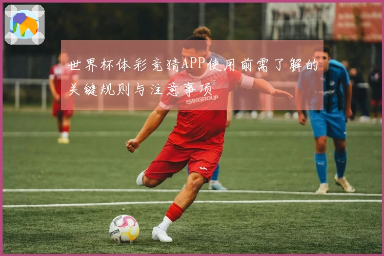世界杯体彩竞猜APP使用前需了解的关键规则与注意事项