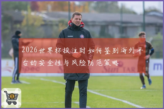 2026世界杯投注时如何鉴别海外平台的安全性与风险防范策略