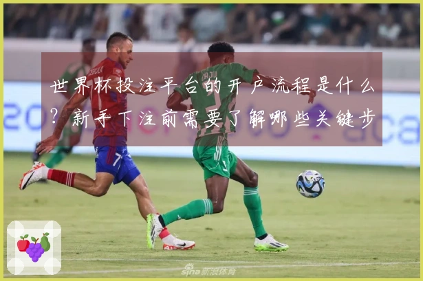 世界杯投注平台的开户流程是什么？新手下注前需要了解哪些关键步骤？