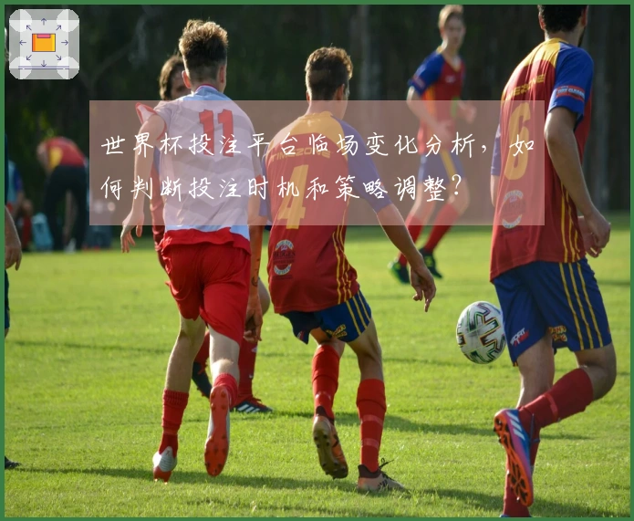 世界杯投注平台临场变化分析，如何判断投注时机和策略调整？